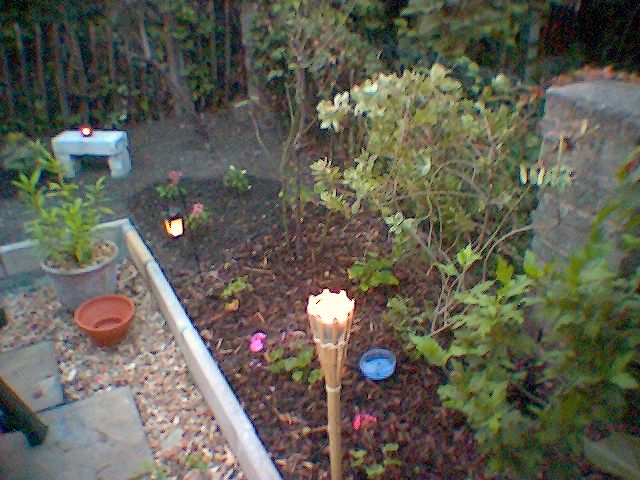 Our Garden